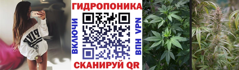 Купить наркотик аптеки Павловский Посад АМФЕТАМИН Гашиш Канабис Кокаин