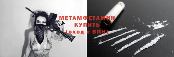индика Туринск