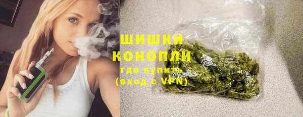 винт Тында